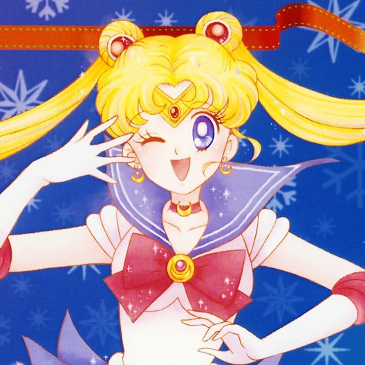 Sailor Moon Christmas